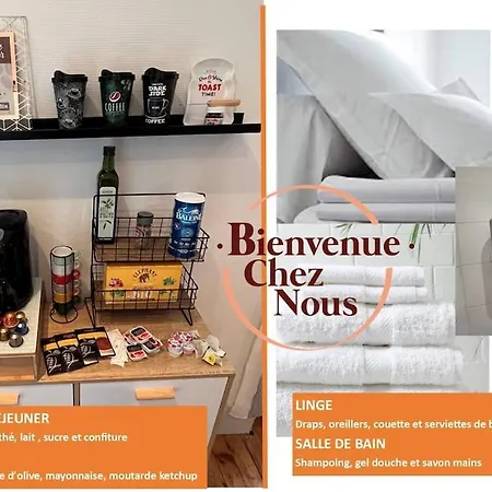 New Cosy Plein Centre Augustins A